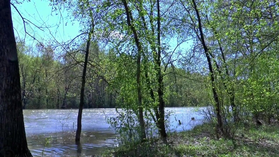 河流森林视频素材