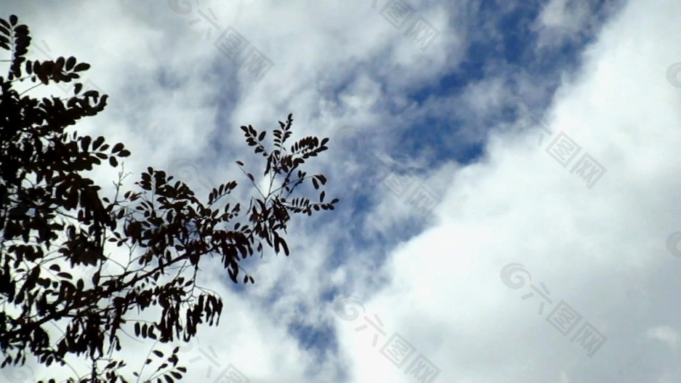 树枝白云视频素材