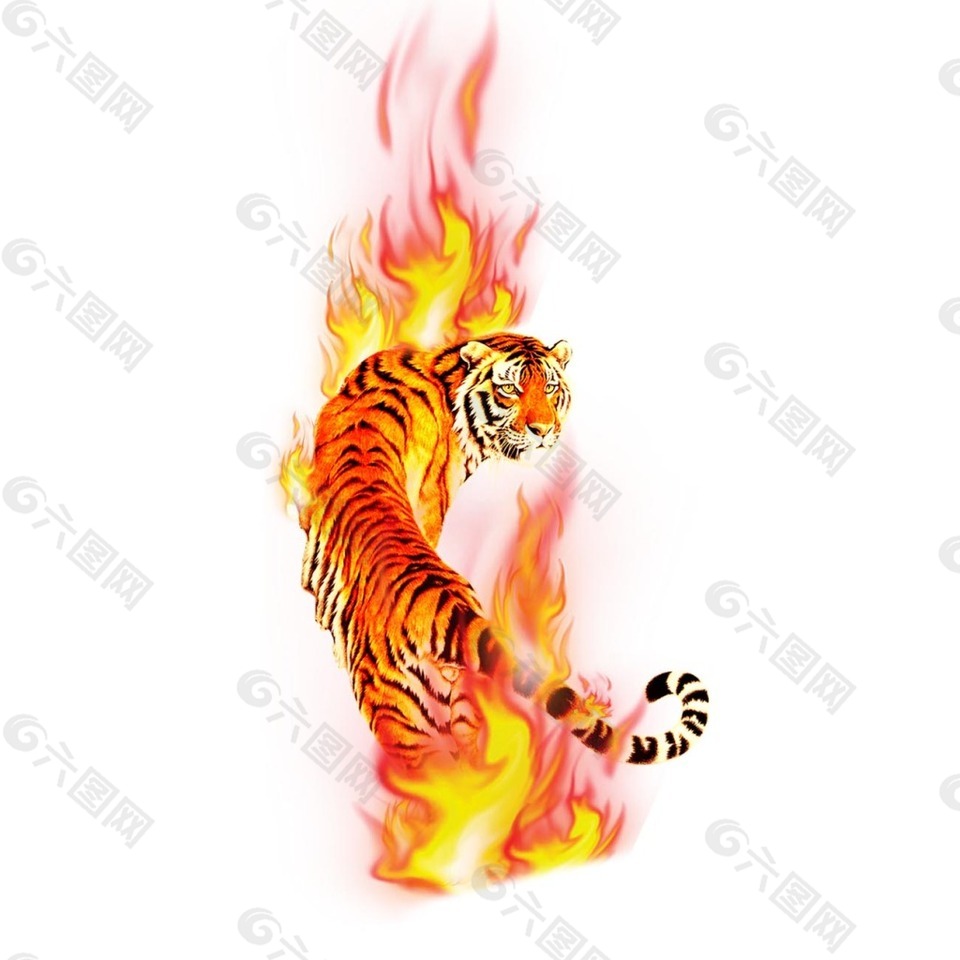 火中的老虎png透明元素