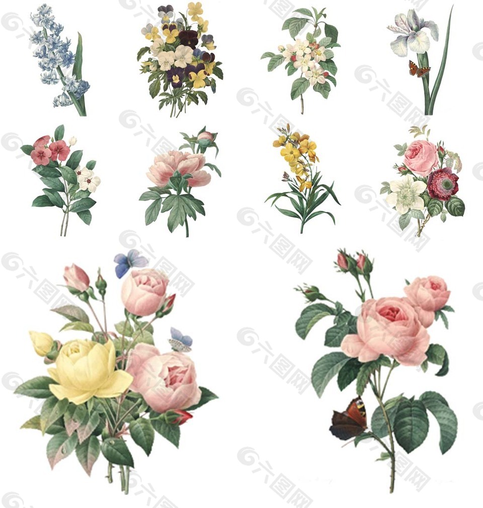 手绘复古玫瑰花插画平面广告素材免费下载(图片编号:8789126)-六图网