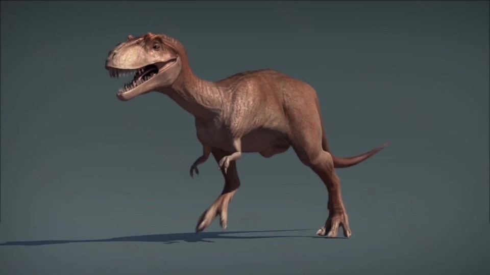 三维动画恐龙视频