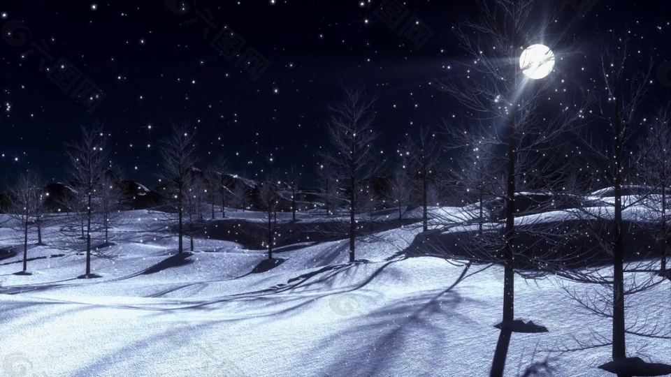 森林雪景夜景风光视频