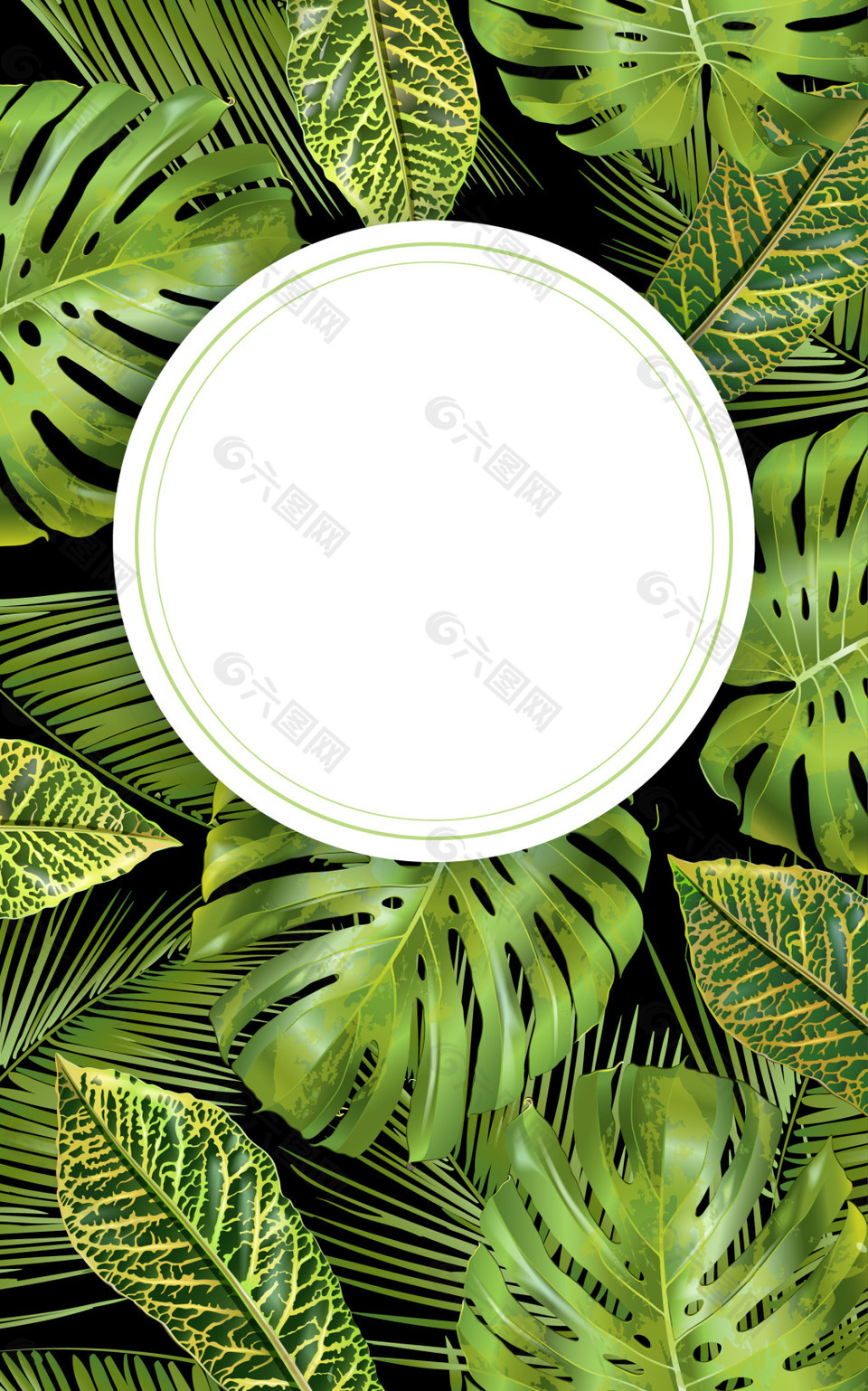 绿色龟背竹植物背景背景素材免费下载 图片编号 六图网