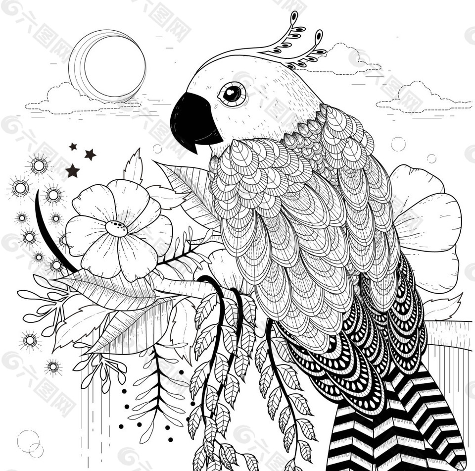 黑白手绘复古的鹦鹉插画