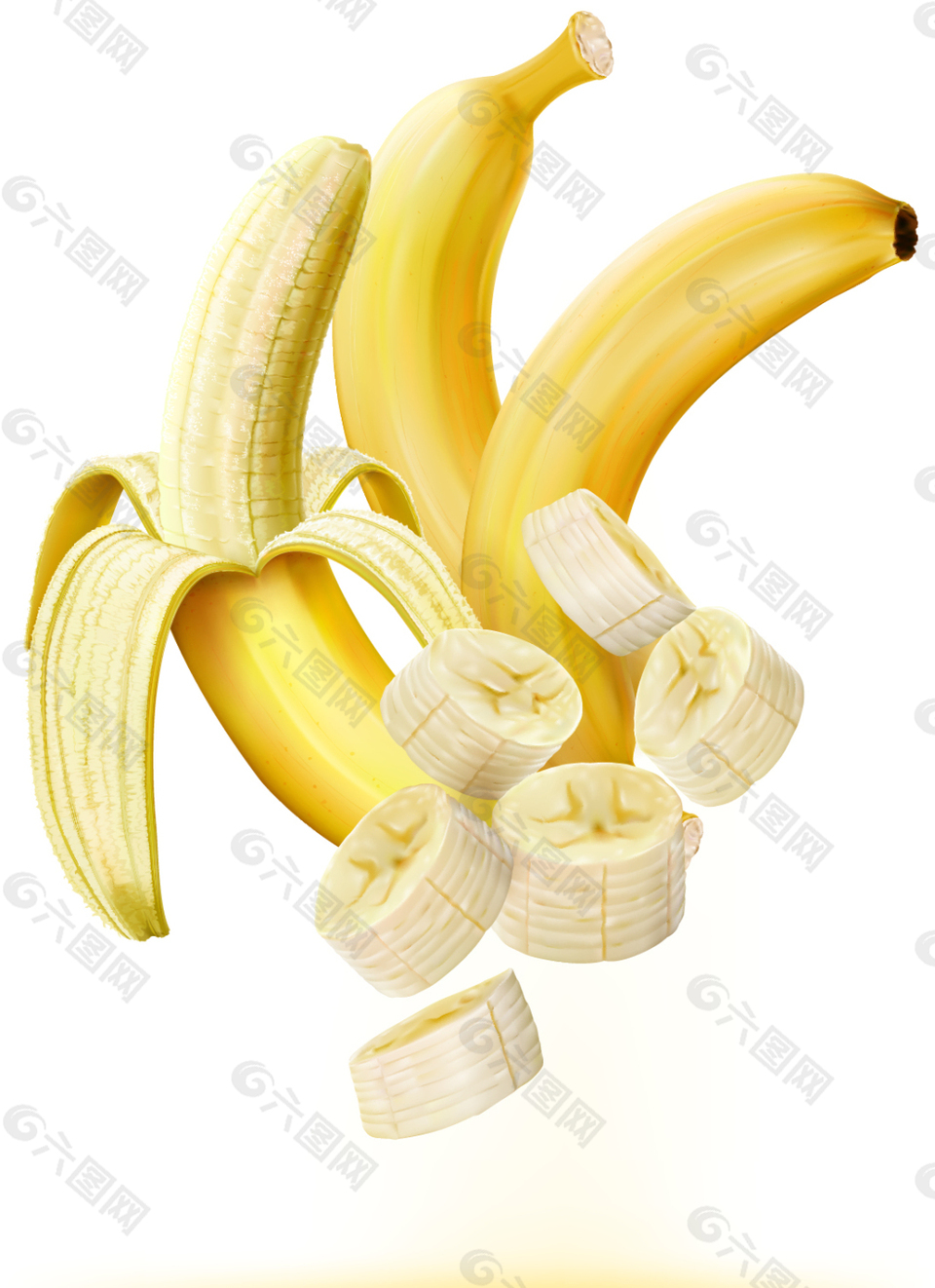 写实逼真的香蕉插画