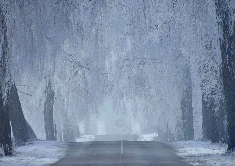 夜晚灰暗森林小路背景