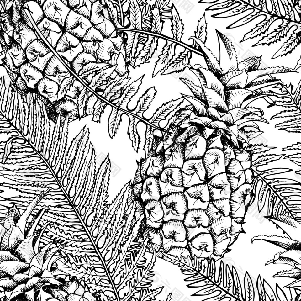 菠萝设计黑白创意图片