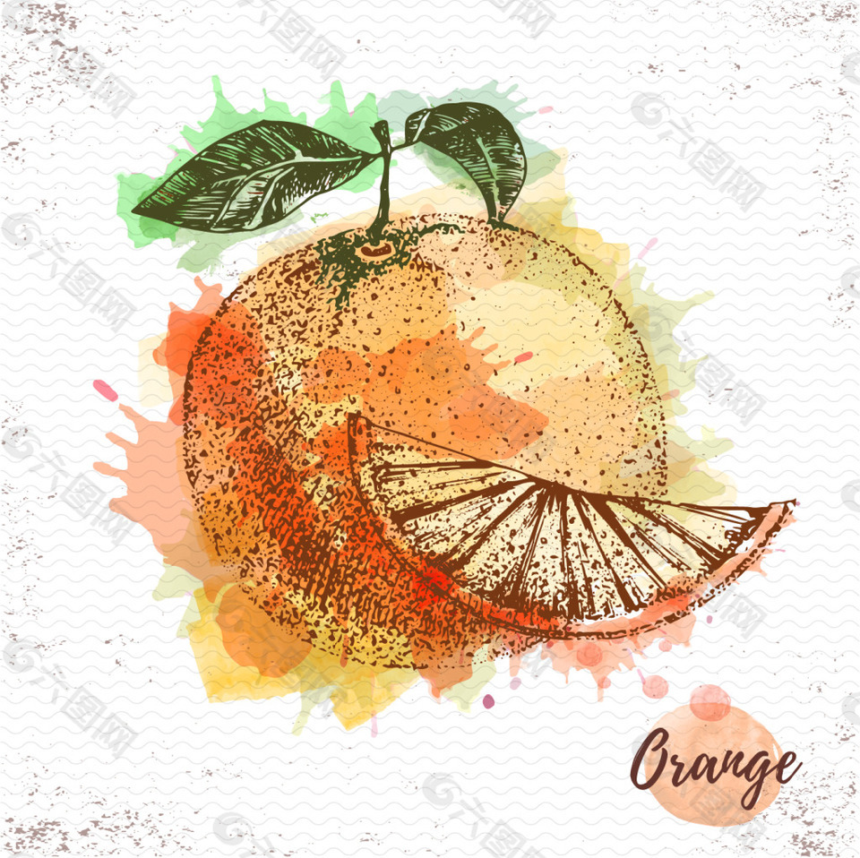 水彩绘水果桔子插画