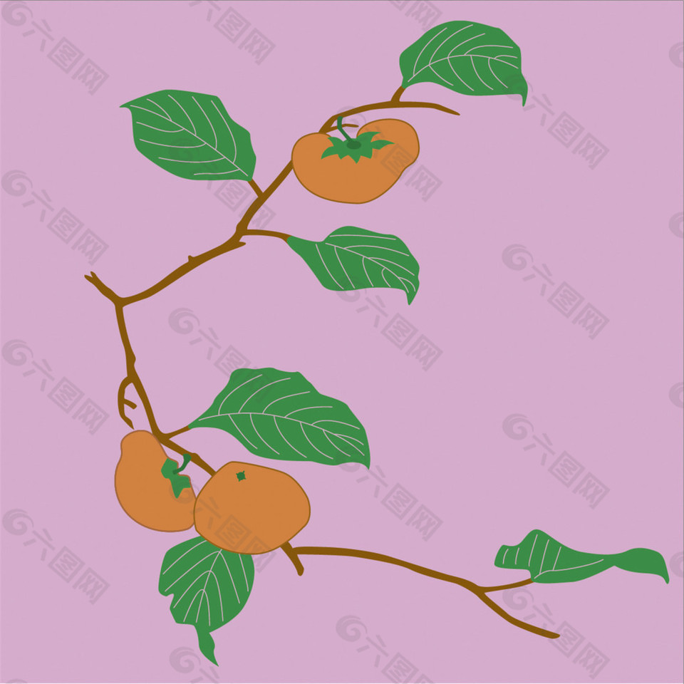 粉色柿子树枝装饰图