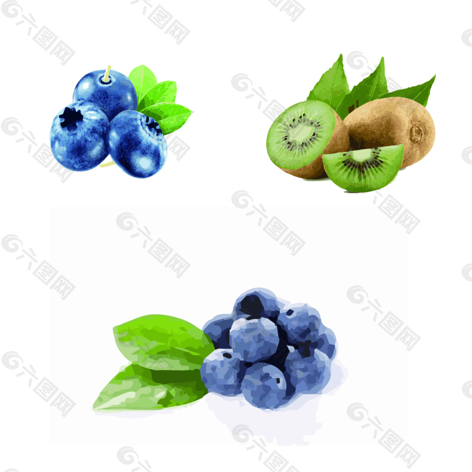 水果蓝莓奇异果
