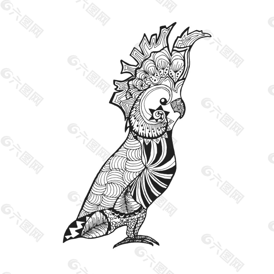 鹦鹉动物黑白线稿纹身图案印花矢量