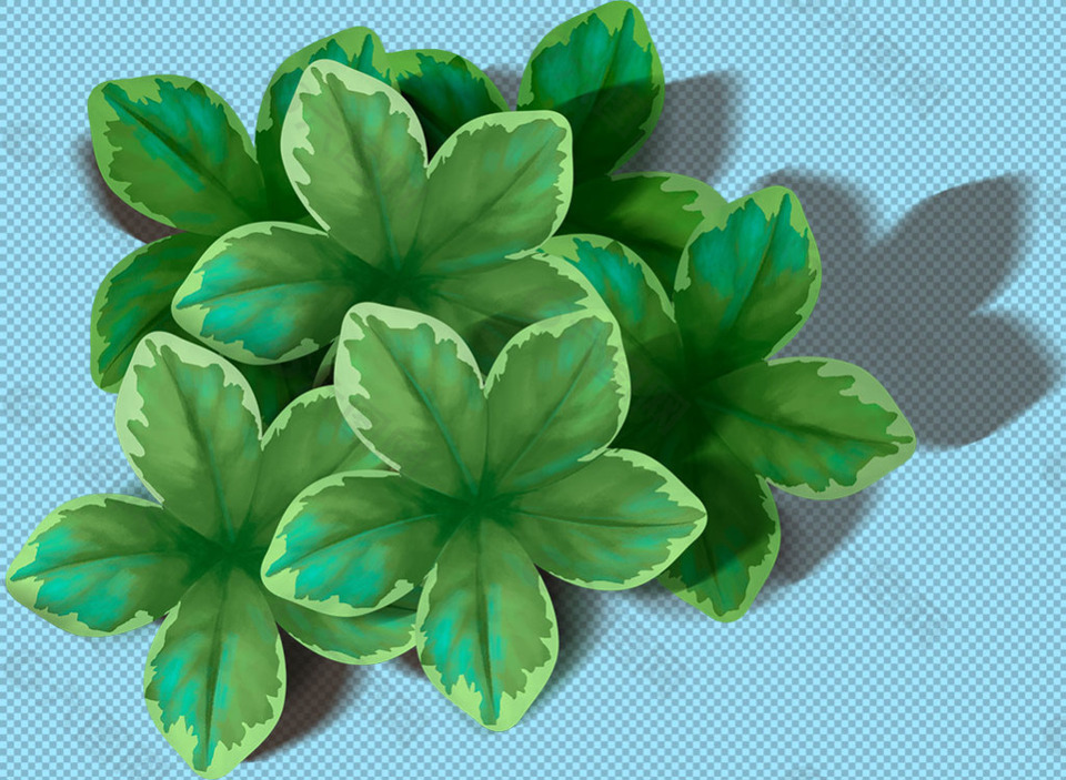 一丛绿叶免抠png透明图层素材