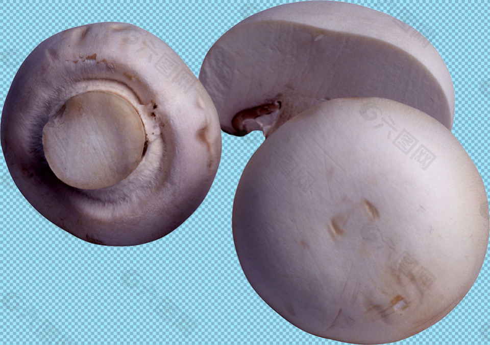 圆形蘑菇免抠png透明图层素材