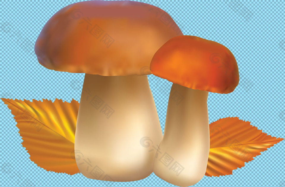 手绘漂亮蘑菇免抠png透明图层素材