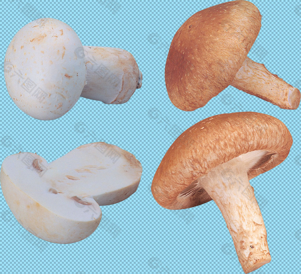 4个漂亮蘑菇免抠png透明图层素材