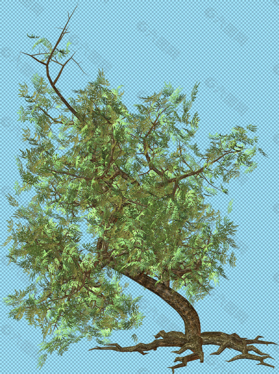 一颗大树免抠png透明图层素材
