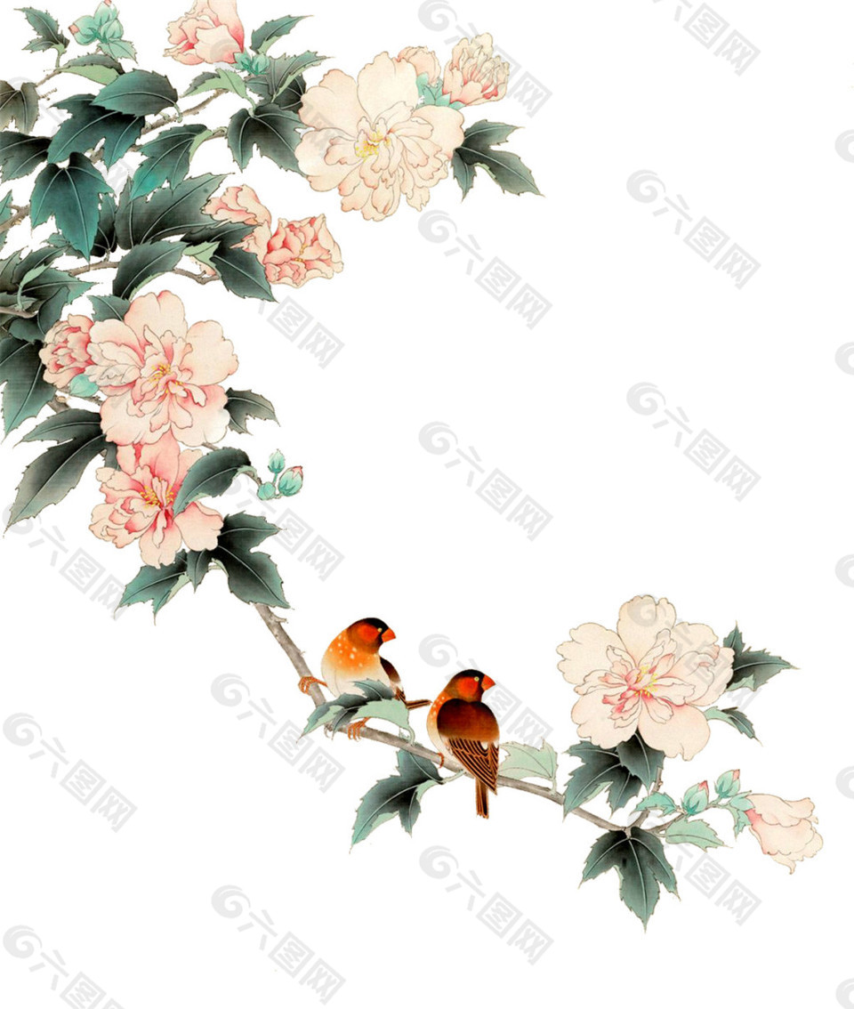 中国风花鸟画png元素