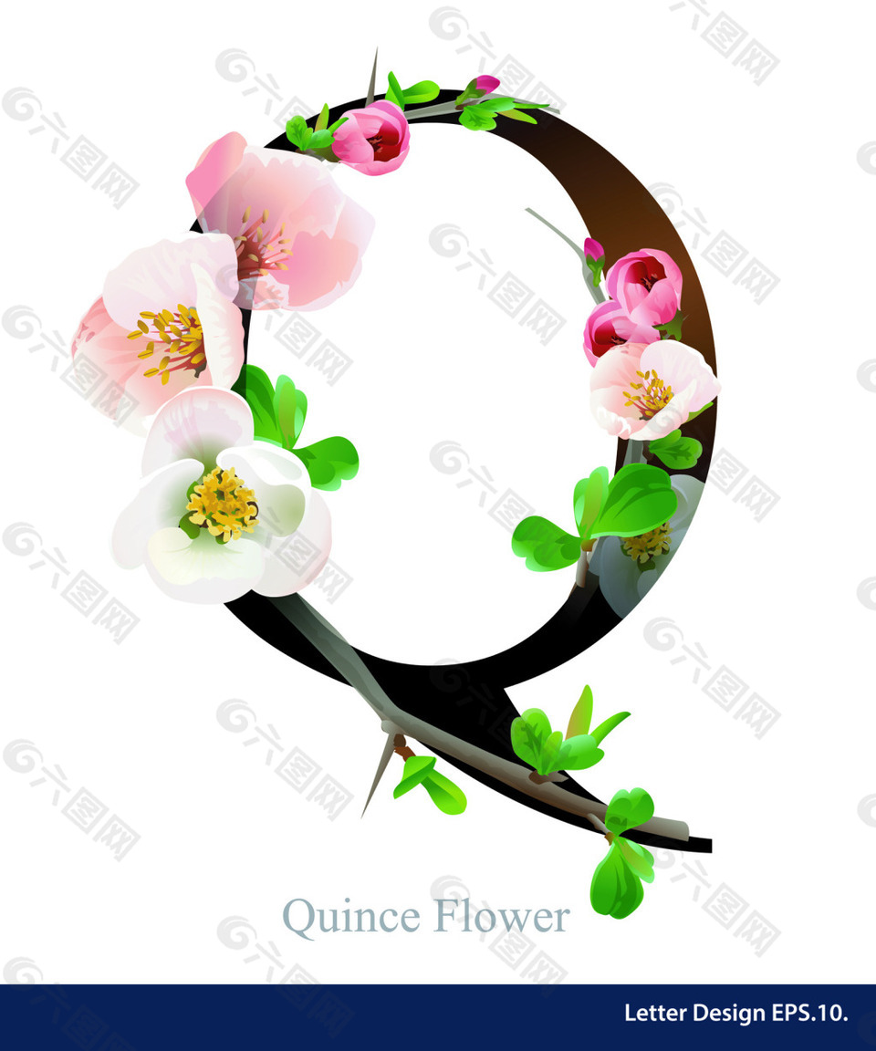 英文字母花卉字体设计