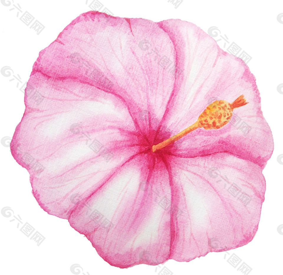 粉色花朵PNG元素