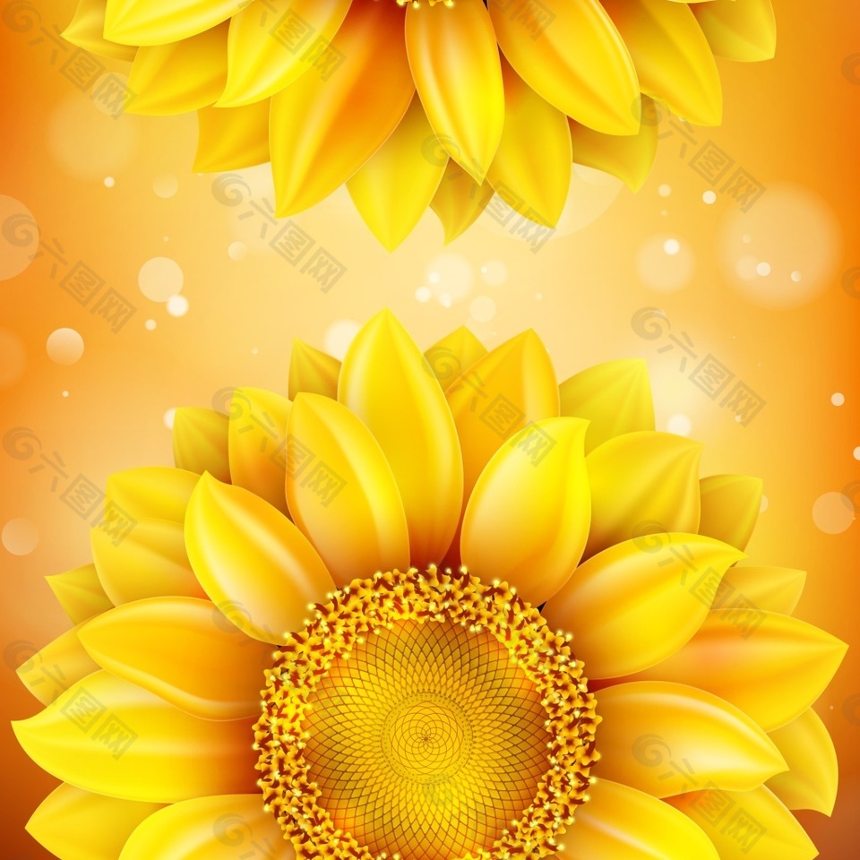 金色向日葵花朵背景纹理素材