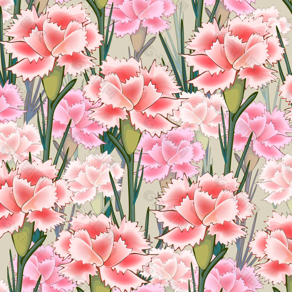 康乃馨花型背景图片