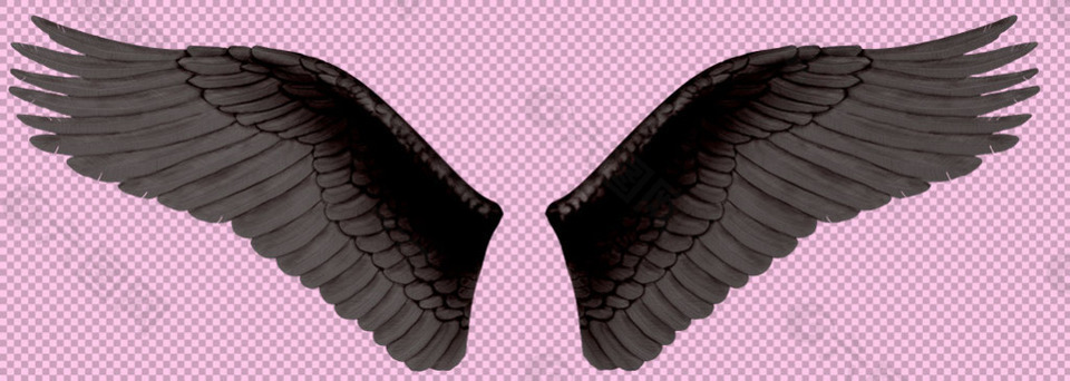 一对黑色翅膀免抠png透明图层素材