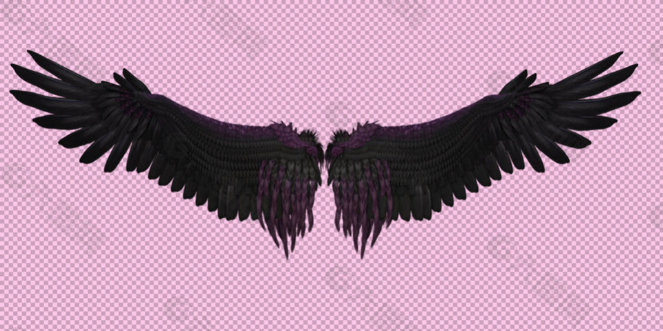一双展开的翅膀免抠png透明图层素材