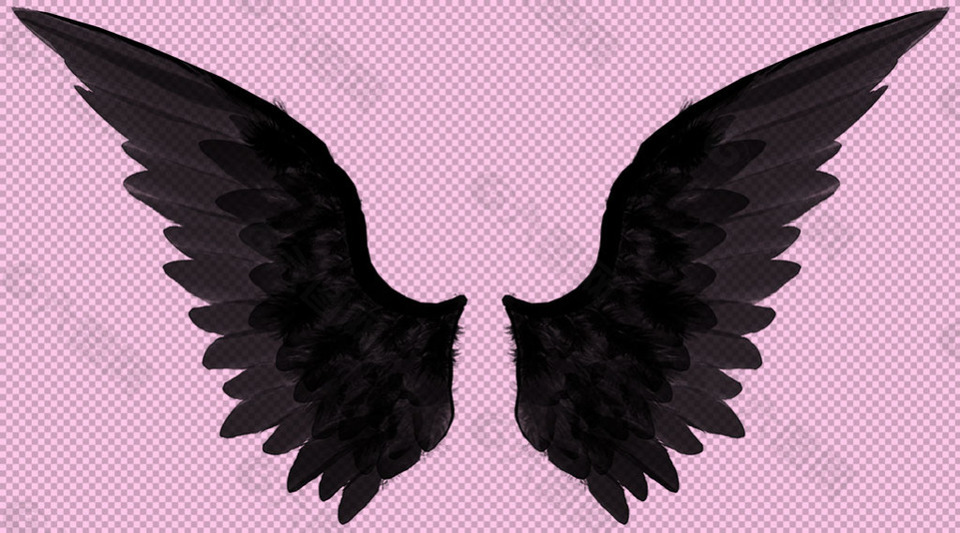 黑色的翅膀免抠png透明图层素材