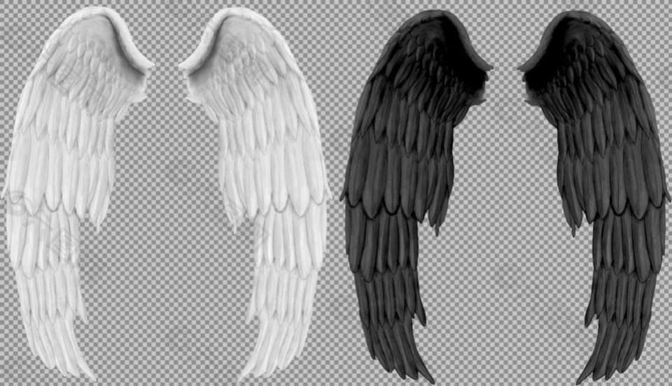 白色和黑色的翅膀免抠png透明图层素材