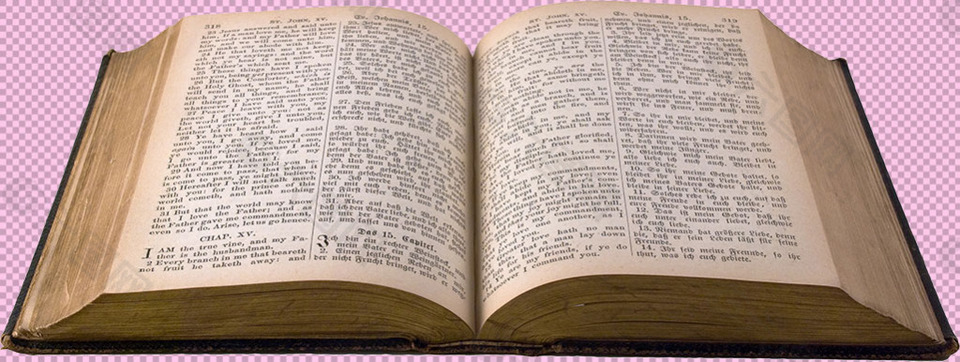 打开的圣经免抠png透明图层素材