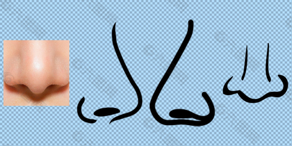 各种手绘鼻子免抠png透明图层素材