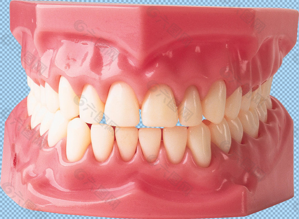 牙龈牙齿免抠png透明图层素材