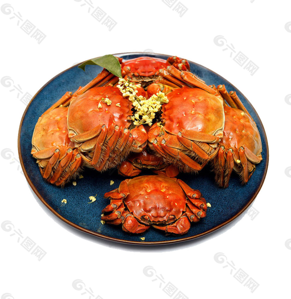 食品美味螃蟹元素