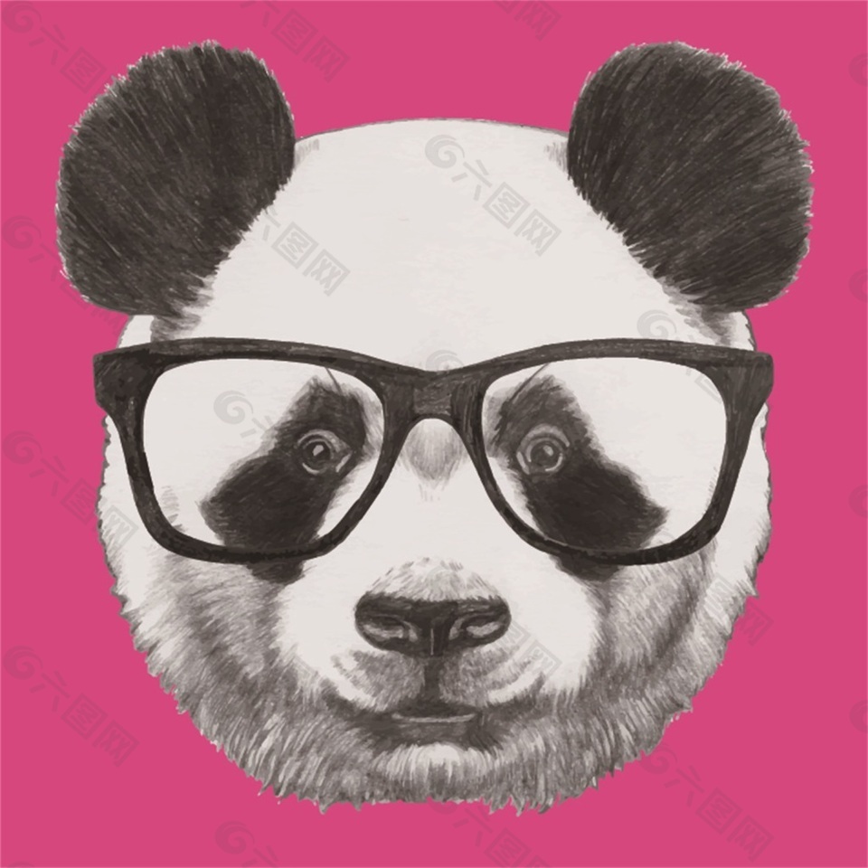 戴眼镜的熊猫头像图片