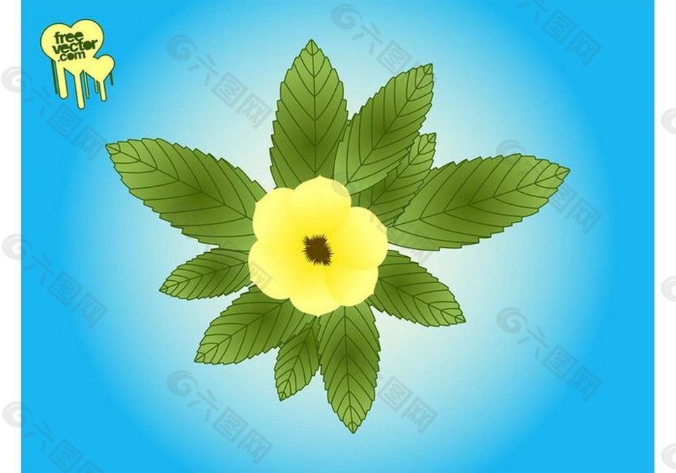 植物黄色花朵矢量素材