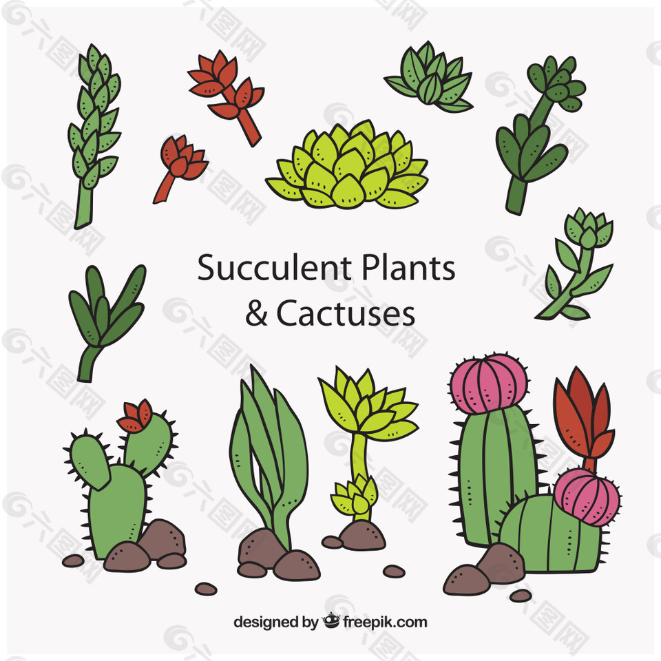 卡通多肉植物设计矢量
