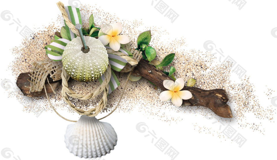 贝壳花朵PNG元素
