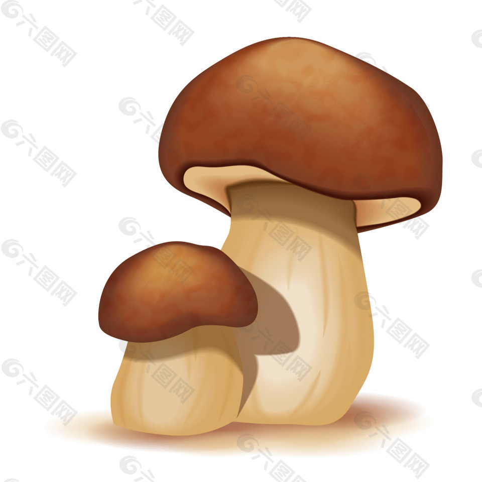 矢量蘑菇素材