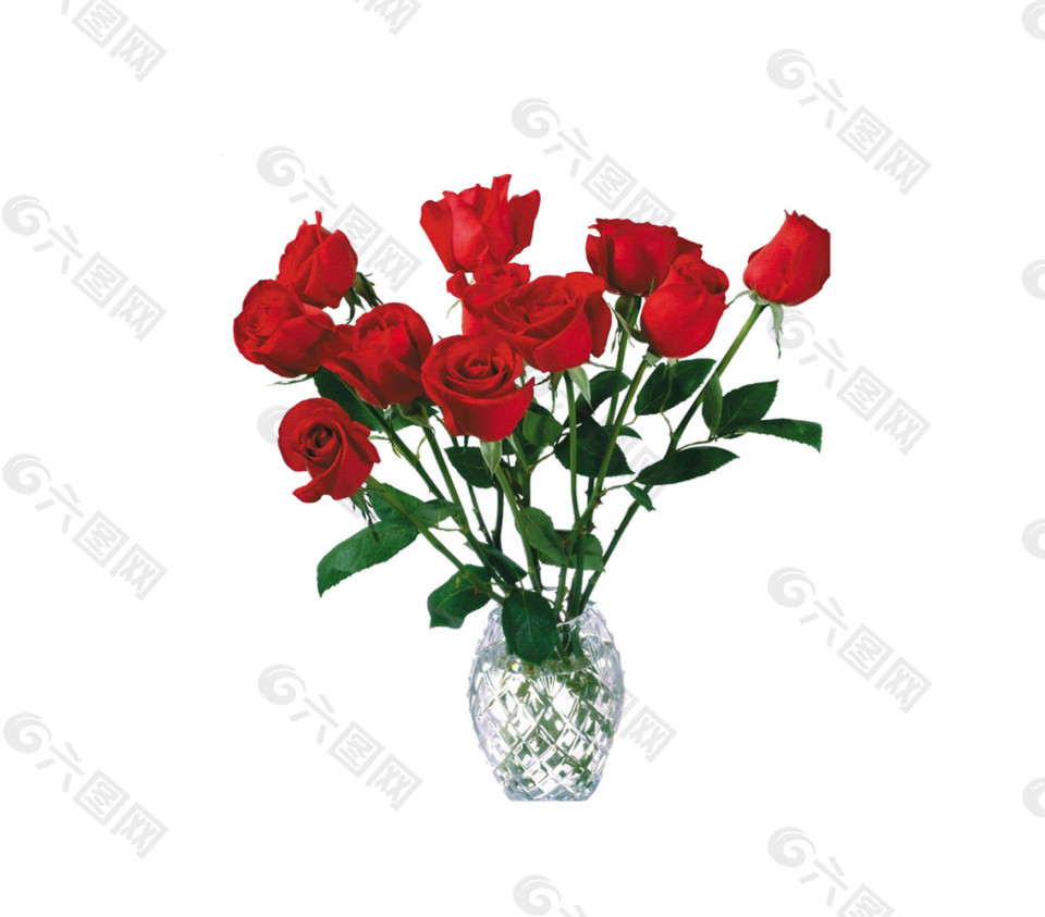 花瓶里的玫瑰花素材图片设计元素素材免费下载 图片编号 3 六图网