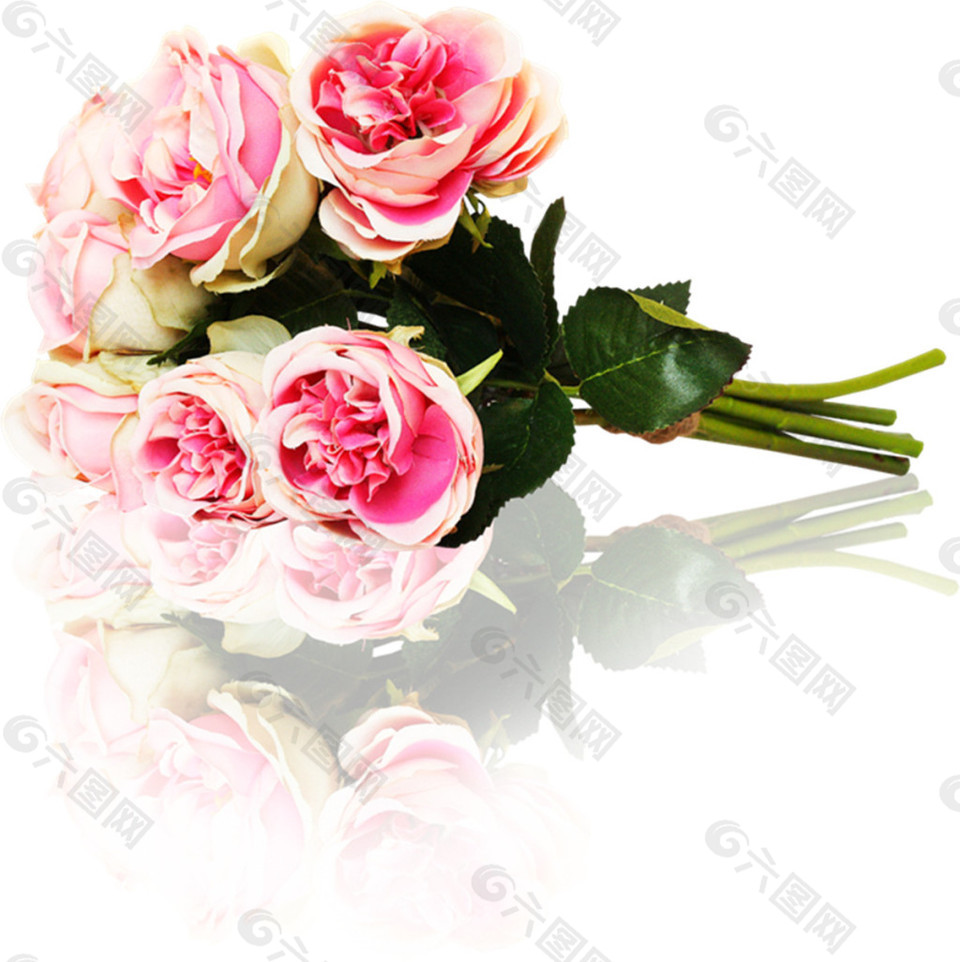 五朵粉色玫瑰花素材图片
