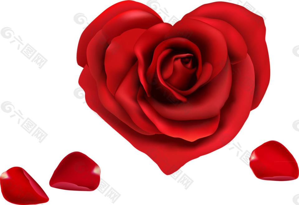 红玫瑰花瓣素材图片