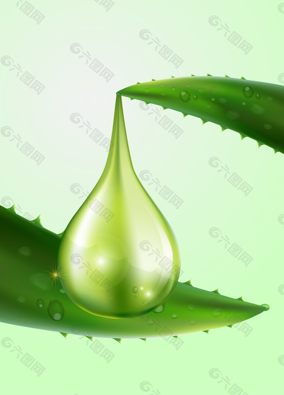 矢量芦荟美容护肤品背景