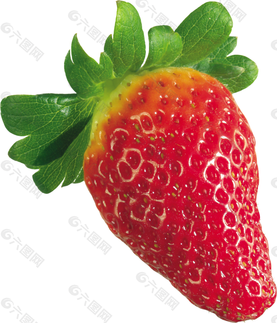 水果 草莓 png 透明图片 免抠图