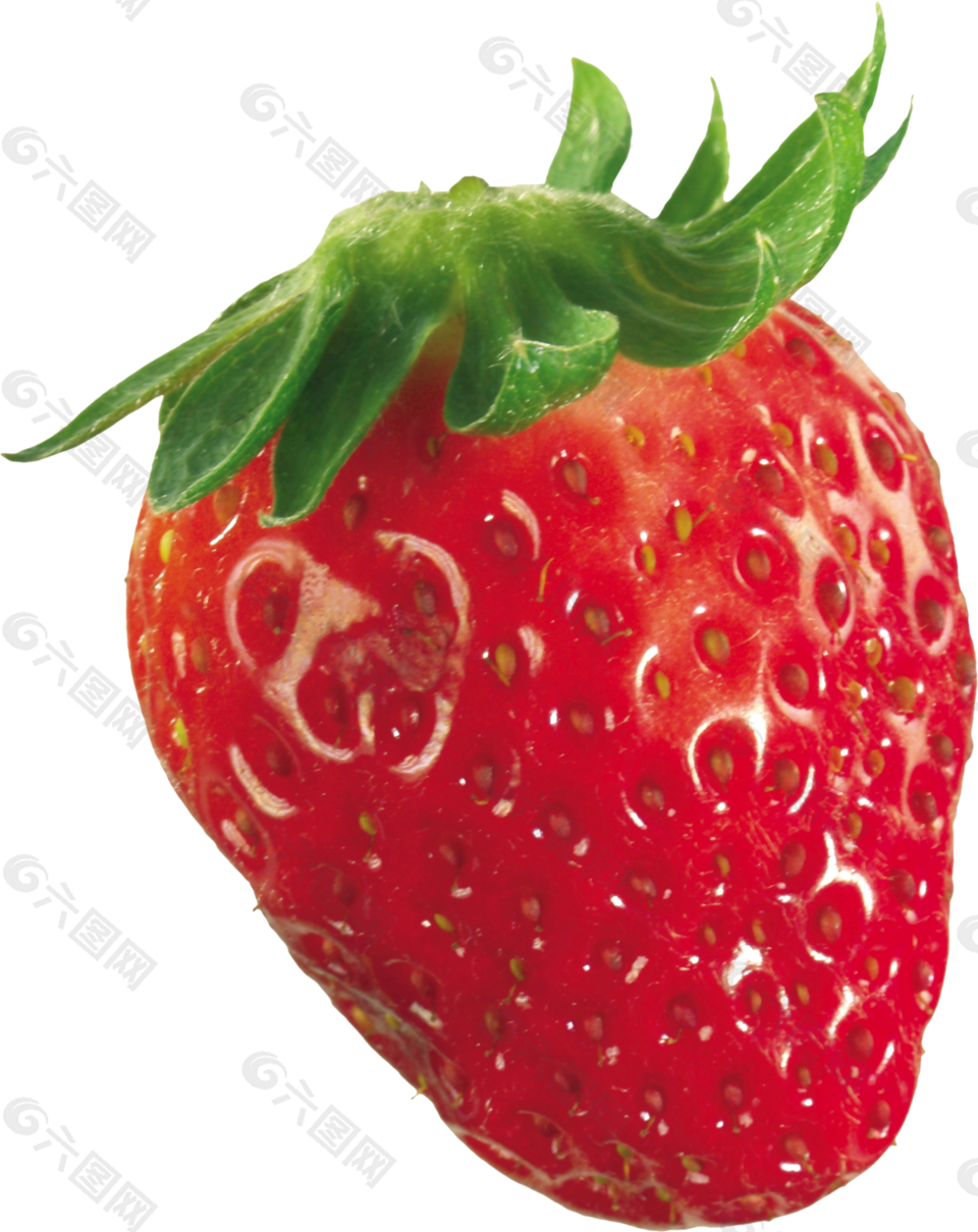 水果 草莓 png 透明图片 免抠图