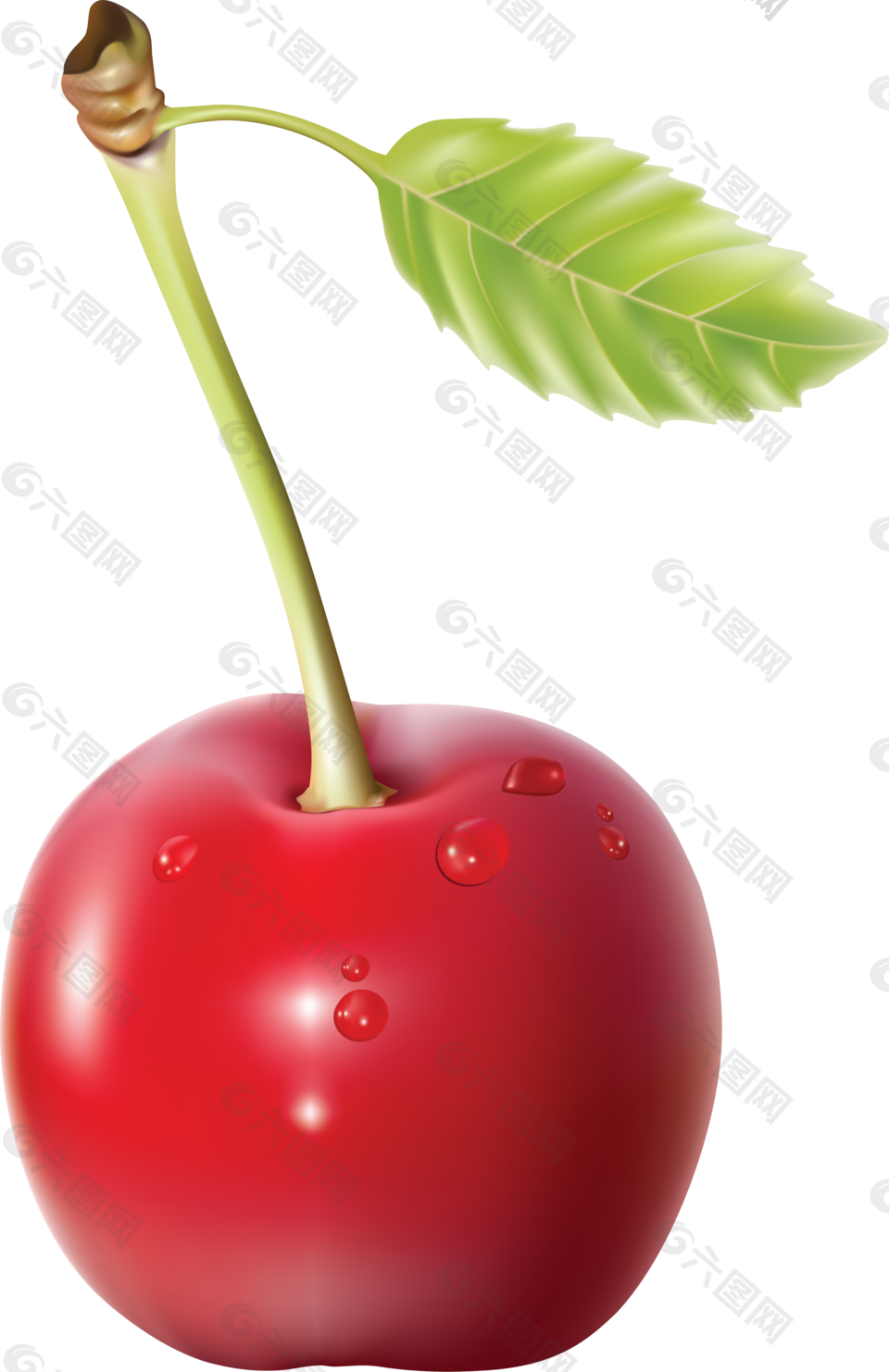 水果 樱桃 png 透明图片 免抠图设计元素素材免费下载(图片编号