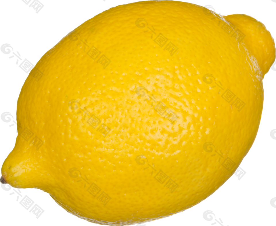 水果 柠檬 png 透明图片 免抠图