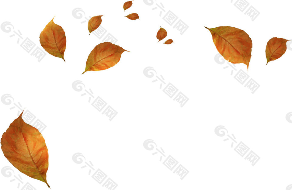 秋季树叶元素设计