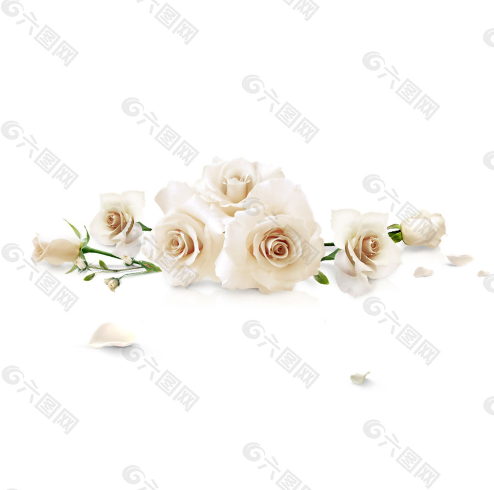 浪漫白色玫瑰元素