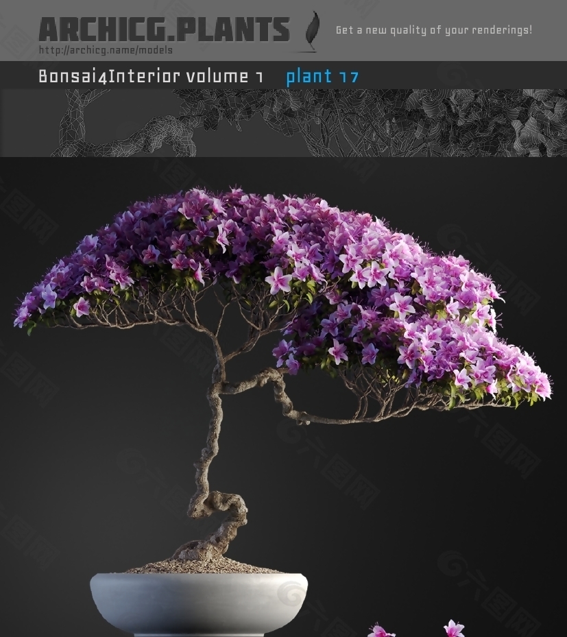 漂亮盆景花卉3D模型
