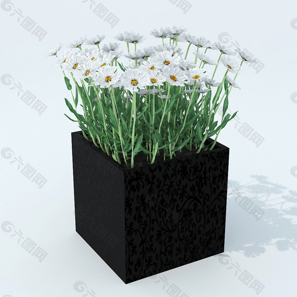 野菊花盆栽3D模型